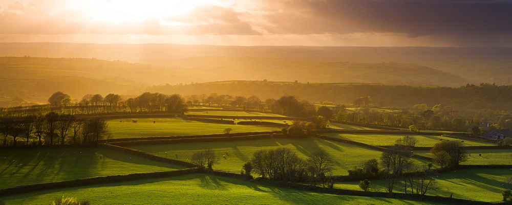 Evening sunlight bathes rolling fields in golden light, Dartmoor National Park, Devon, England, United Kingdom, Europe