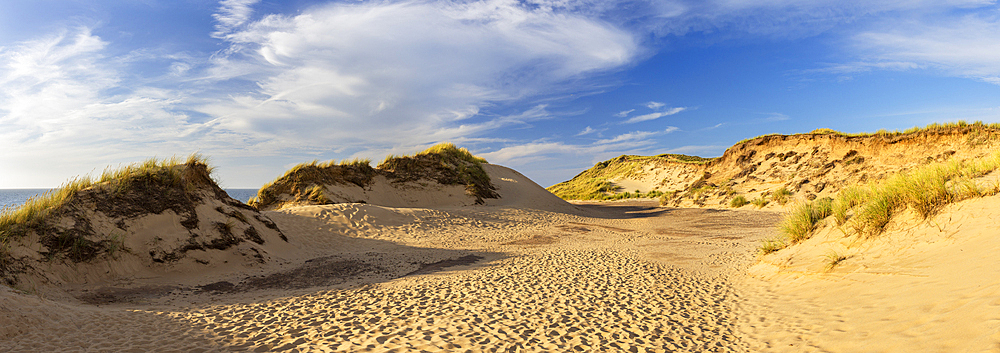 Sand dunes at Red Cliffs (Rotes Kliff), Kampen, Sylt, Schleswig Holstein, Germany