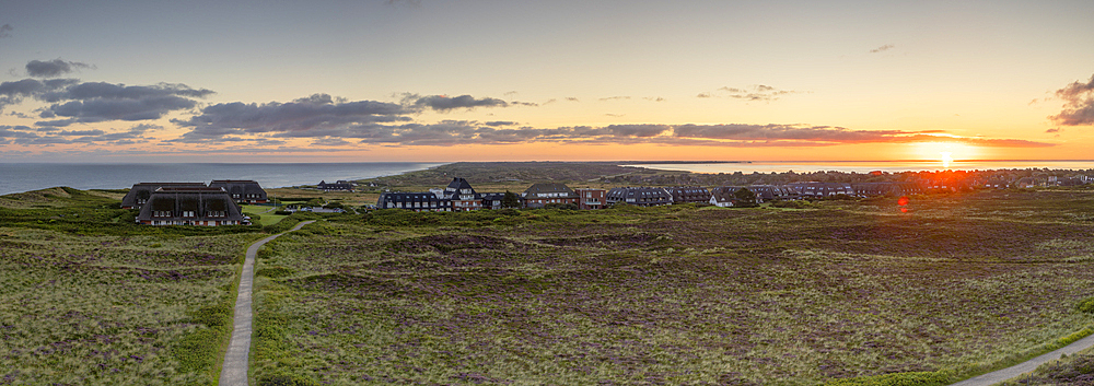 Heather and sand dunes at sunrise, Kampen, Sylt, Schleswig Holstein, Germany