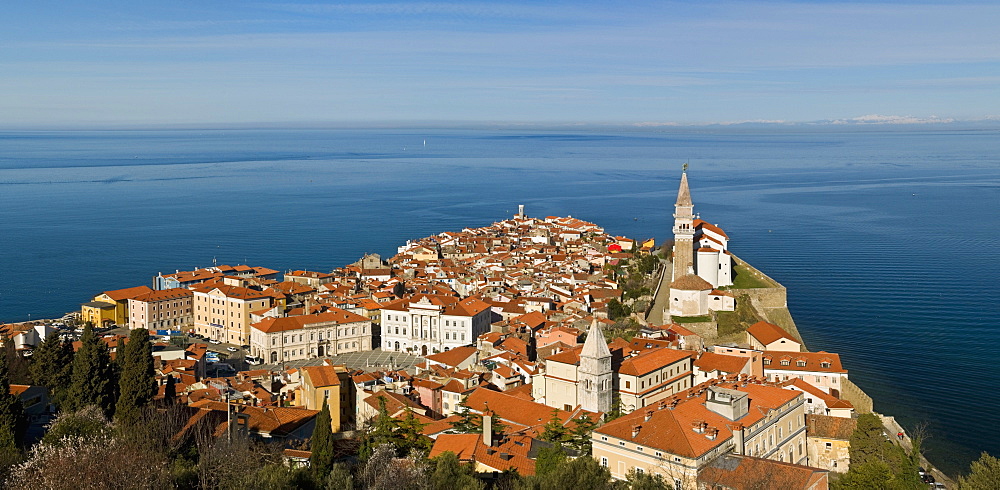 View from a hill overlooking the old town of Piran and St. George Church, Piran, Slovenvia, Europe