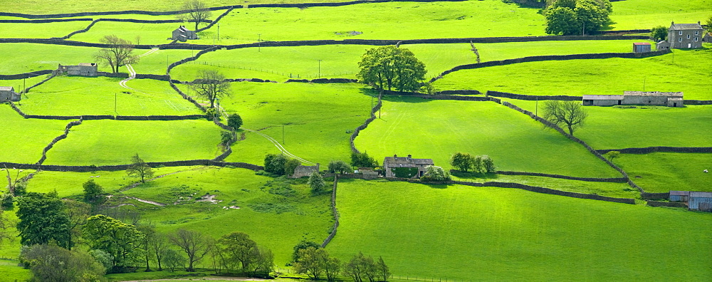 View across the Yorkshire Dales near Reeth in Swaledale, Yorkshire, England, United Kingdom, Europe