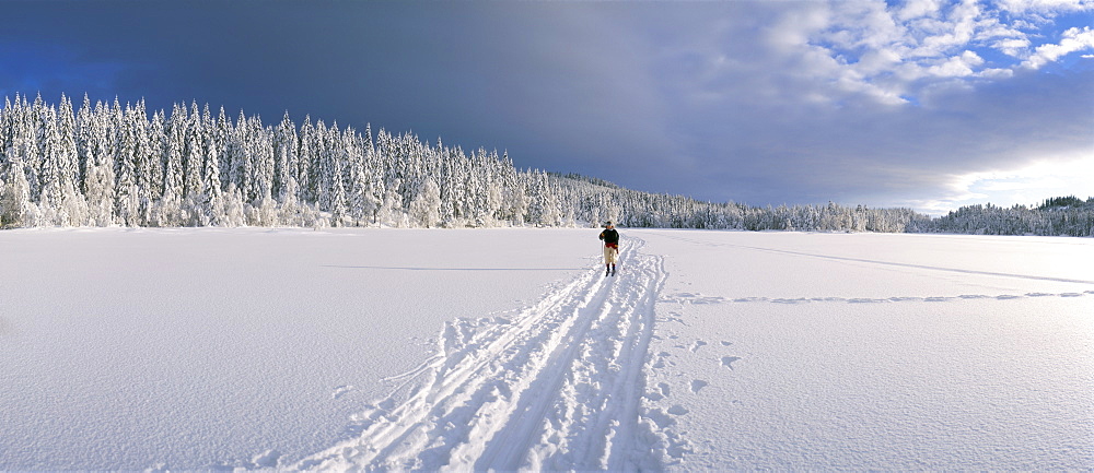 Cross country skiing, Abortjern, Oslomarka (Baerumsmarka), Olso, Norway, Scandinavia, Europe