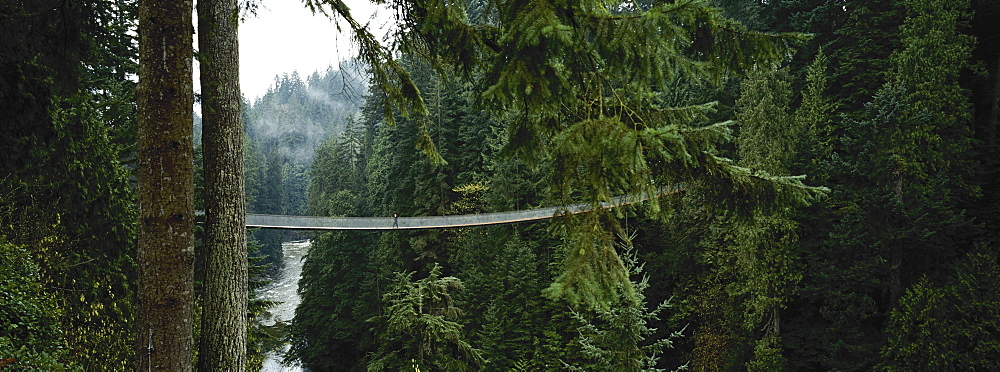 Capilano Suspension Bridge, Vancouver, British Columbia, Canada, North America