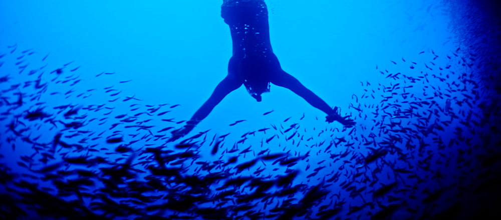 Free diving in a cave off Espanola Island, Galapagos, Ecuador, South America