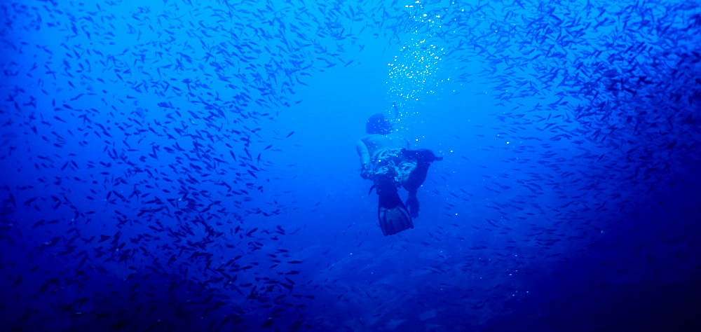 Free diving, Galapagos Islands, Ecuador, South America