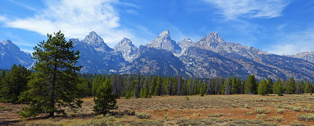 Panoramic view of Cathedral Group from near Teton Glacier Turnout, Grand Teton National Park, Wyoming, United States of America, North America 