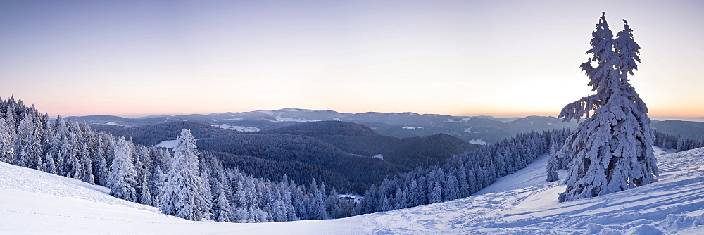 Winter landscape at Belchen summit at sunrise with a view to the Feldberg mountain, Black Forest, Baden-Wuerttemberg, Germany, Europe