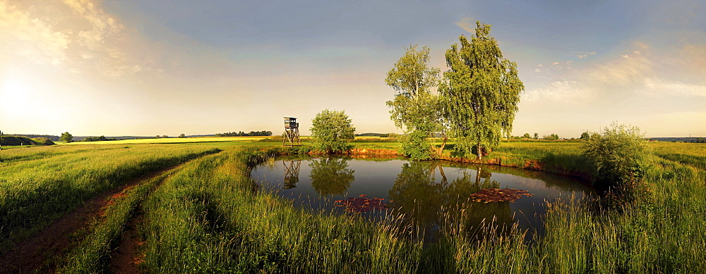 Small circular lake with reflected trees and raised hide between meadows and a beautiful sunset, Adelschlag, Bavaria, Germany, Europe