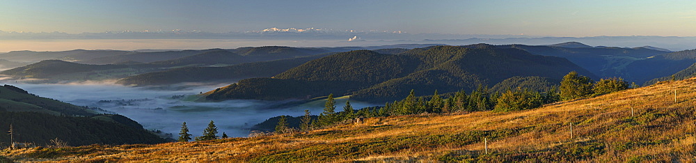 Swiss Alps, view from the Black Forest, Baden-Wuerttemberg, Germany, Europe