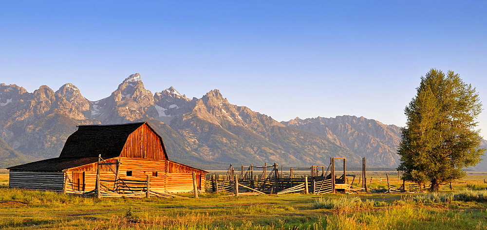 John und Bartha Moulton Homestead Mormon Barn at dawn, historic barn of the Mormons in front of Teton Range mountain chain, Mormon Row Historic District, Antelope Flats, Grand Teton National Park, Wyoming, USA, North America