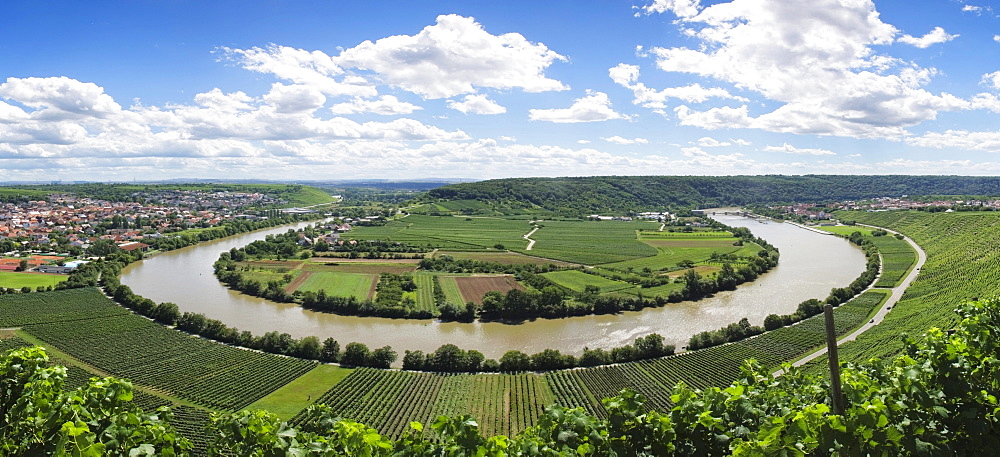 Mundelsheim Necker river loop, Baden-Wuerttemberg, Germany, Europe