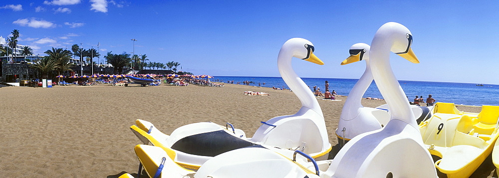 Swan paddle boats on a sandy beach, Playa Grande, Puerto del Carmen, Lanzarote, Canary Islands, Spain, Europe