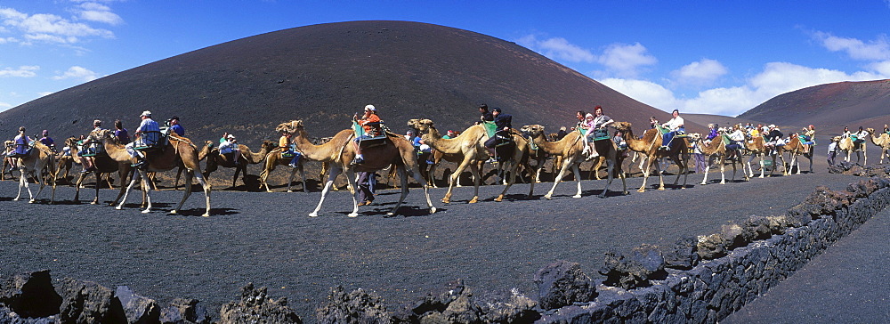 Tourists riding camels in Montana del Fuego de Timanfaya National Park, Lanzarote, Canary Islands, Spain, Europe