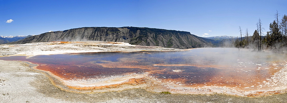 Panoramic view, view of Mount Everts from the Canary Spring, Mammoth Hot Springs, Yellowstone National Park, Wyoming, USA