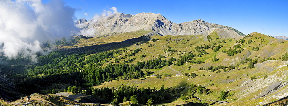 Panorama, Col des Champs mountain pass, Mercantour National Park, Haute Verdon mountains, Alpes-de-Haute-Provence, Region Provence-Alpes-Cote d'Azur, France, Europe