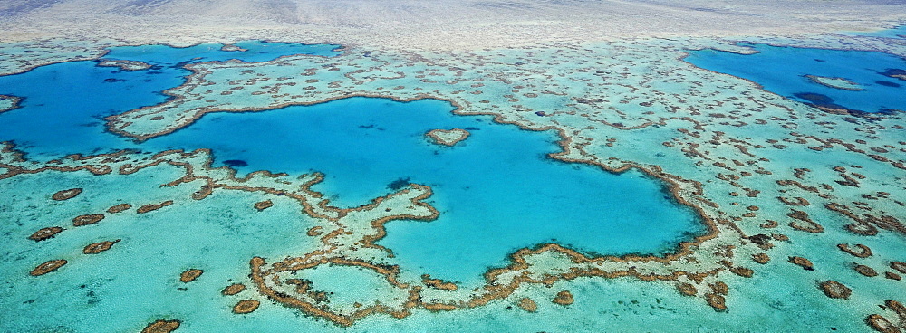 Panorama, aerial view of the ocean floor, Heart Reef, heart-shaped reef, Great Barrier Reef World Heritage Area, Great Barrier Reef, UNESCO World Heritage Site, Queensland, South Pacific, Australia