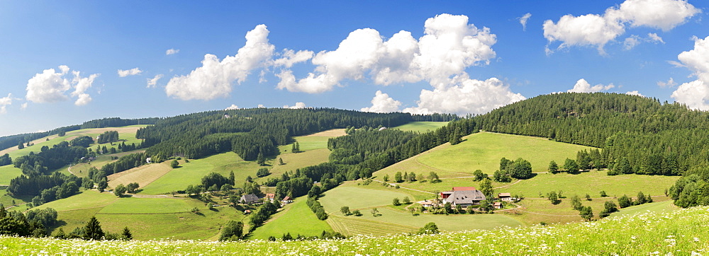 Glottertal valley near St. Maergen, Black Forest, Baden-Wuerttemberg, Germany, Europe