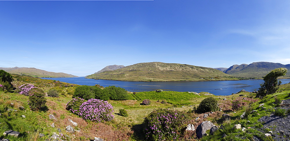 Killary Harbour, Connemara, County Galway, Republic of Ireland, Europe