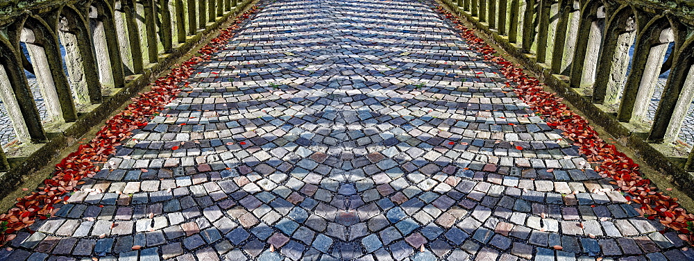 Paved road in Arnsberg, North Rhine-Westphalia, Germany, Europe