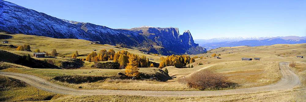 Seiser Alm mountain pasture with Mt. Sciliar in autumn, Dolomites, South Tyrol, Italy, Europe