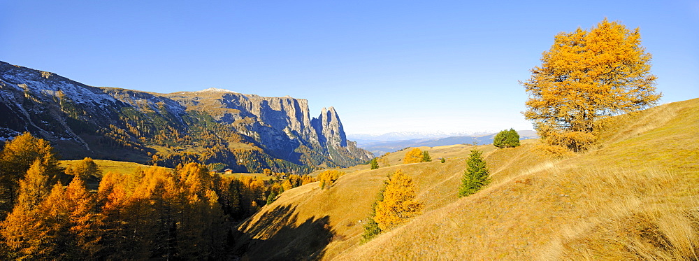 Seiser Alm mountain pasture with Mt. Sciliar in autumn, Dolomites, South Tyrol, Italy, Europe