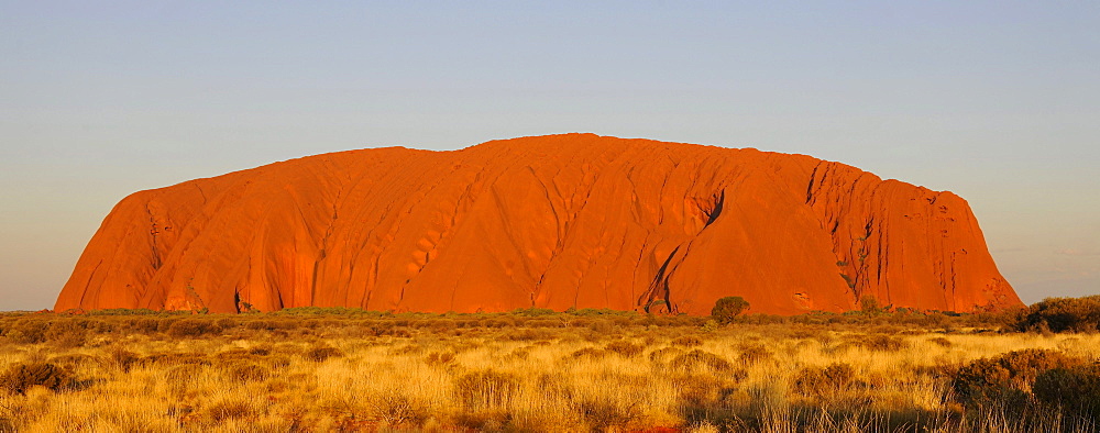 Panorama of Uluru, Ayers Rock at sunset, Uluru-Kata Tjuta National Park, Northern Territory, Australia