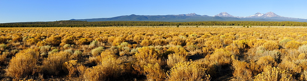 Panoramic view, High Desert landscape with view of the Three Sisters Volcanoes, Cascade Range, Oregon, USA