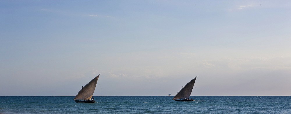 Arab dhows, near coast off Stonetown, Zanzibar, Tanzania, Africa