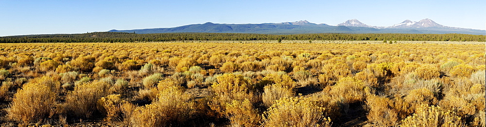 Panorama, High Desert landscape, view of the Three Sisters volcano, Cascade Range, Oregon, USA