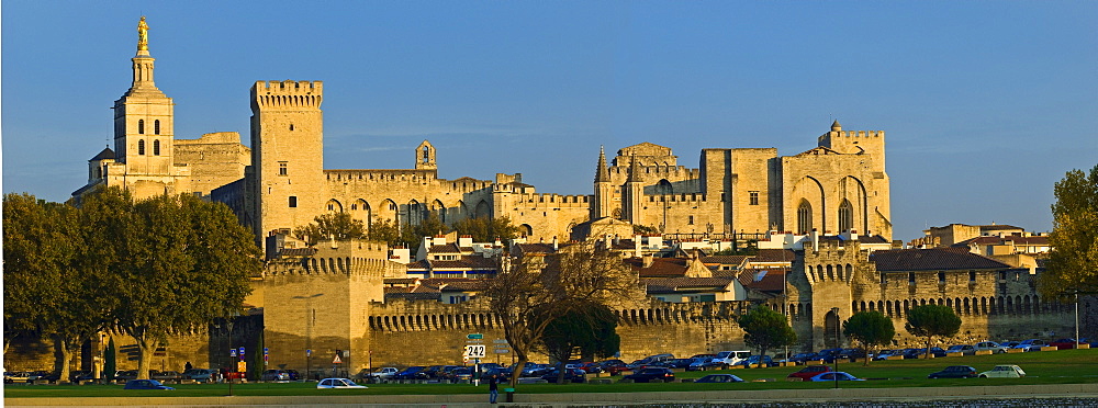 Old town Avignon with Rhone, Provence-Alpes-Cote d Azur, France