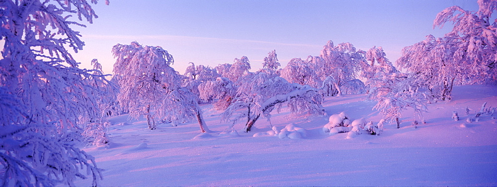 Winter landscape, Lappland