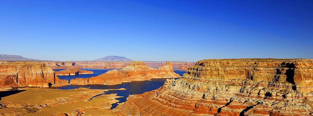 Panoramic view from Alstrom Point of Lake Powell with Gunsight Butte and Navajo Mountain, houseboats, Bigwater, Glen Canyon National Recreation Area, Arizona, Utah, United States of America, USA