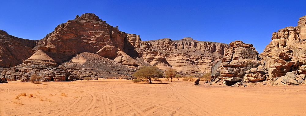 Wadi, Oued In Djerane with Acacia tree, Tadrart, Tassili n'Ajjer National Park, Unesco World Heritage Site, Algeria, Sahara, North Africa