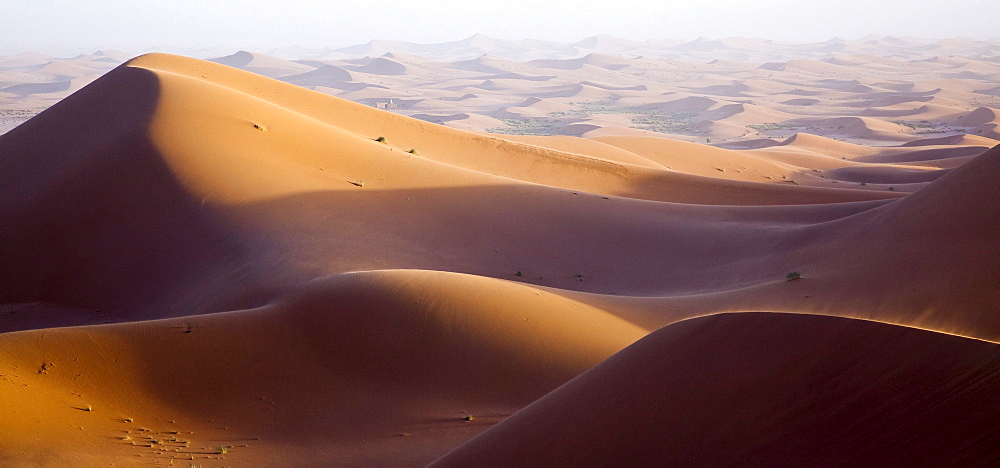 Dunes, Erg Chegaga region, Sahara desert near Mhamid, Morocco, Africa