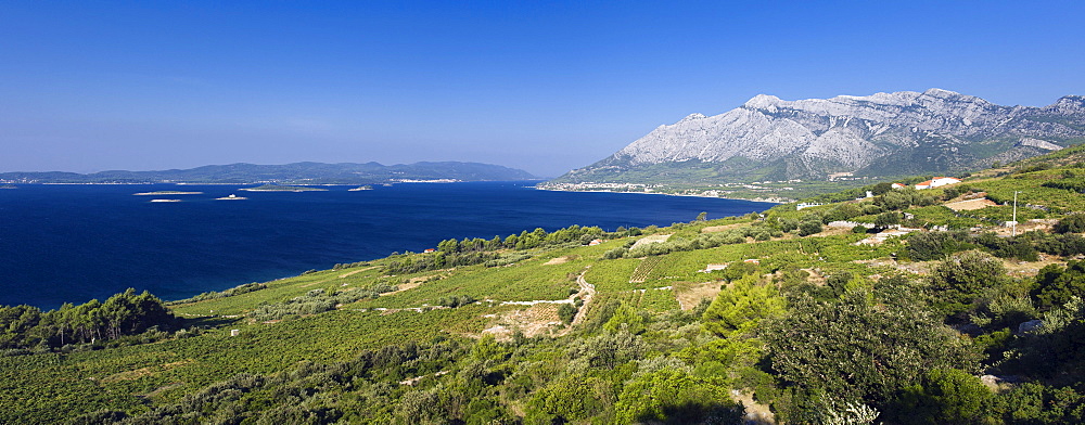 Coastal panorama with vineyards, overlooking the Island of Korcula, Orebic, Peljesac Peninsula, Dalmatia, Croatia, Europe