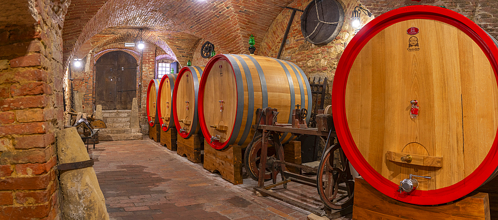 View of wine barrels in cellar at Cantina Ercolani, wine shop and museum in Montepulciano, Montepulciano, Province of Siena, Tuscany, Italy, Europe