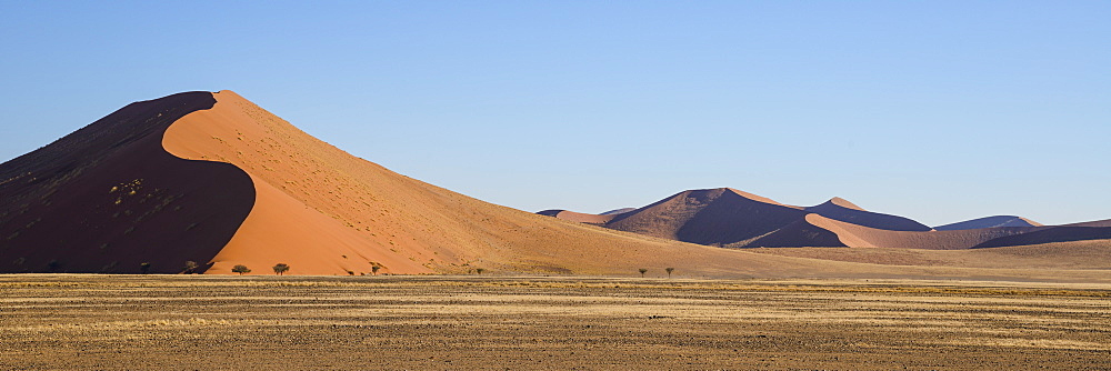 Iron red dunes in the late afternoon sun at Sossusvlei, Namib Naukluft, Namibia, Africa