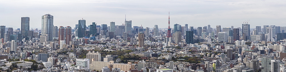 Panorama of the skyscrapers of central Tokyo and the iconic Tokyo tower, Tokyo, Japan, Asia