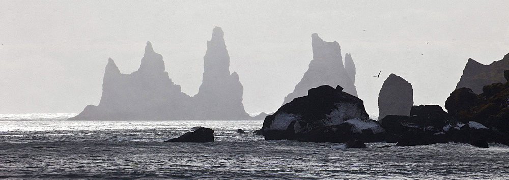 sea stacks at Vik Southern Iceland Iceland Europe Nature Scenery