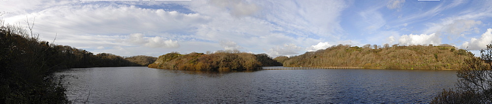 Bosherton Lily ponds, Pembrokeshire, Wales, UK