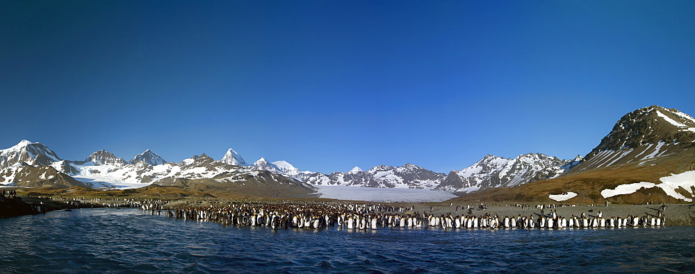 A panoramic view of sunrise at St. Andrews Bay on South Georgia Island, Southern Ocean