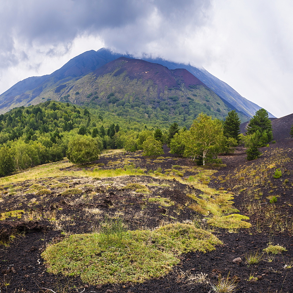 Mount Etna Volcano, old lava flow from an eruption, UNESCO World Heritage Site, Sicily, Italy, Europe 