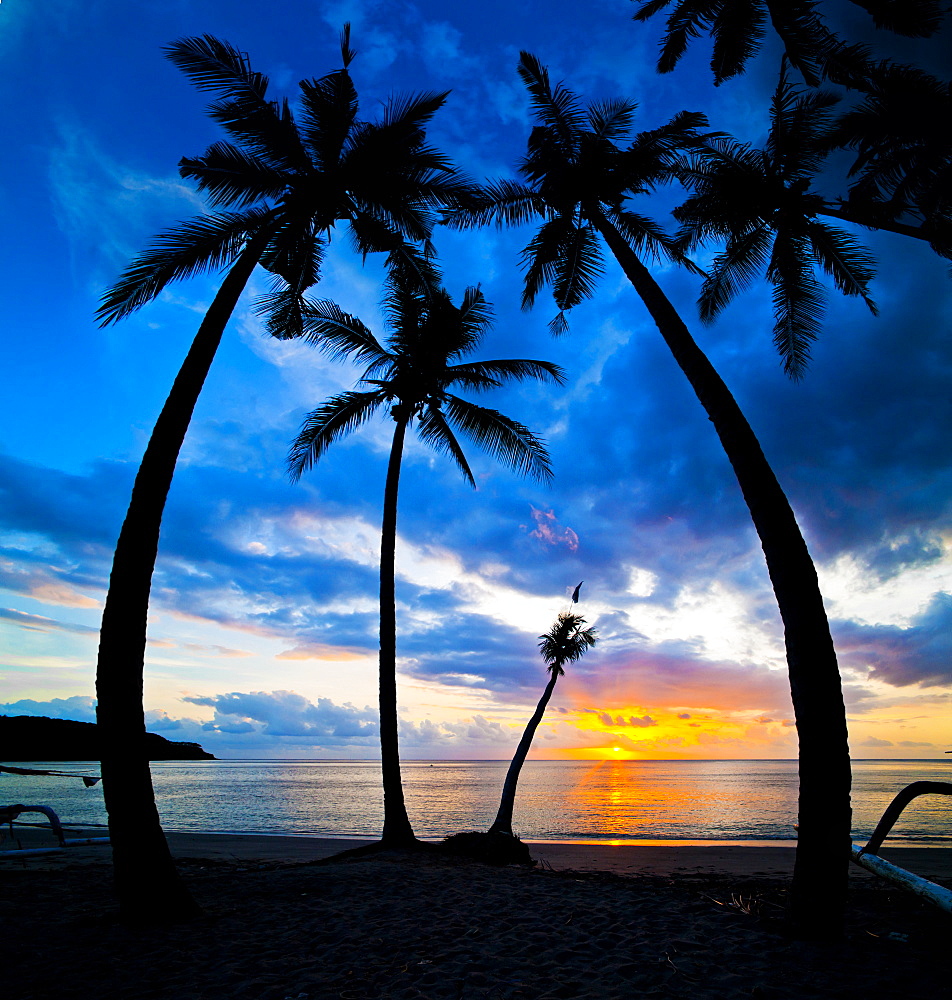 Silhouette of palm trees at sunset, Nippah Beach, Lombok, Indonesia, Southeast Asia, Asia