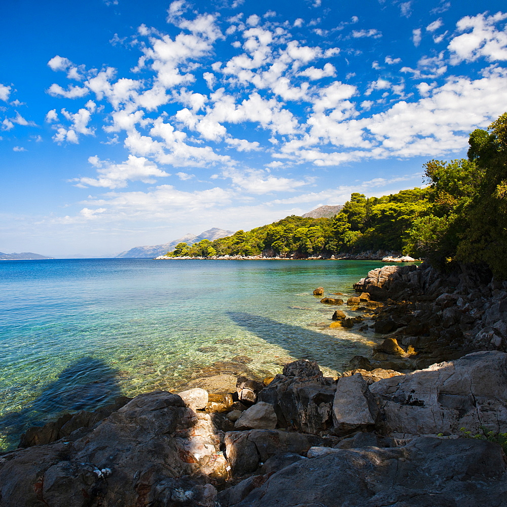 Kolocep Island (Kalamota), Elaphiti Islands (Elaphites), Dalmatian Coast, Adriatic Sea, Croatia, Europe 