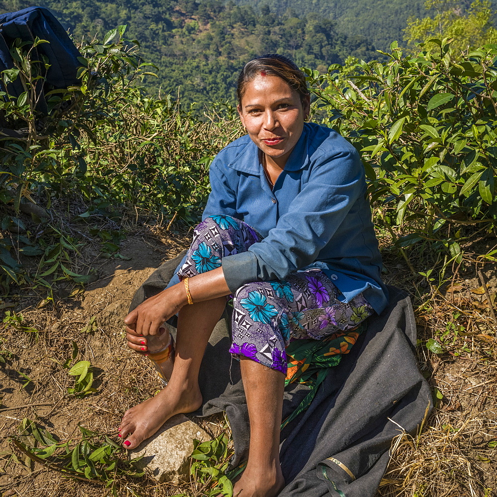 Portrait of a female worker sitting in bare feet, Kambal Tea Garden, West Bengal, India