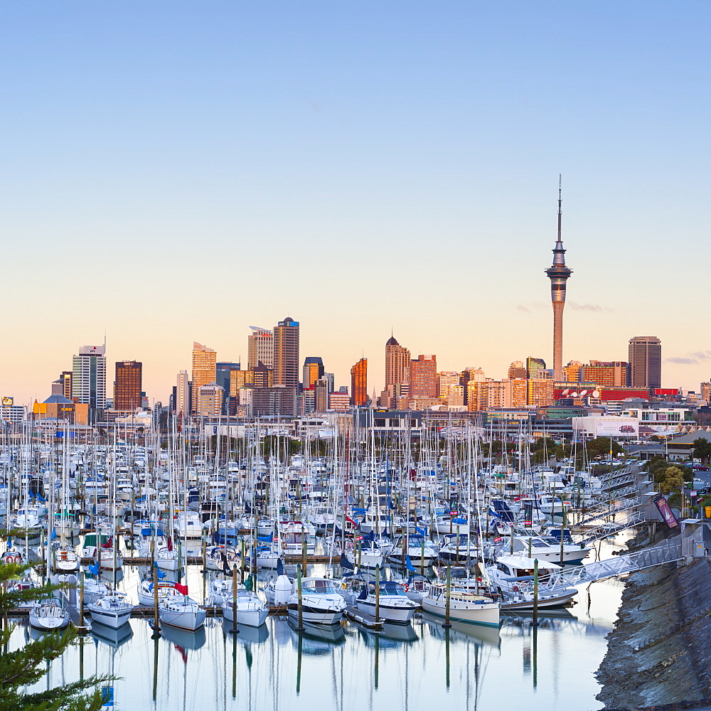 Westhaven Marina and city skyline illuminated at sunset, Waitemata Harbour, Auckland, North Island, New Zealand, Pacific