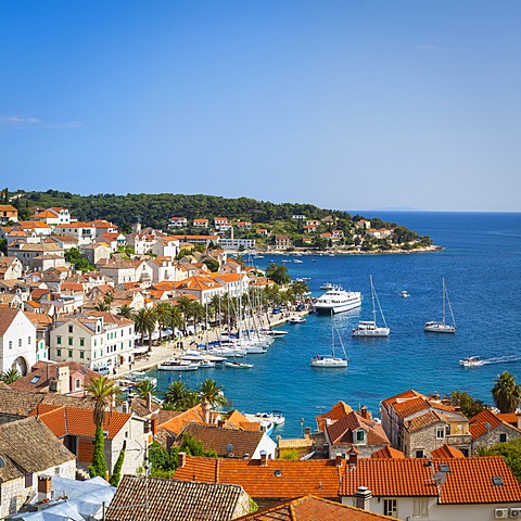 Elevated view over Hvar's picturesque harbour, Stari Grad (Old Town), Hvar, Dalmatia, Croatia, Europe