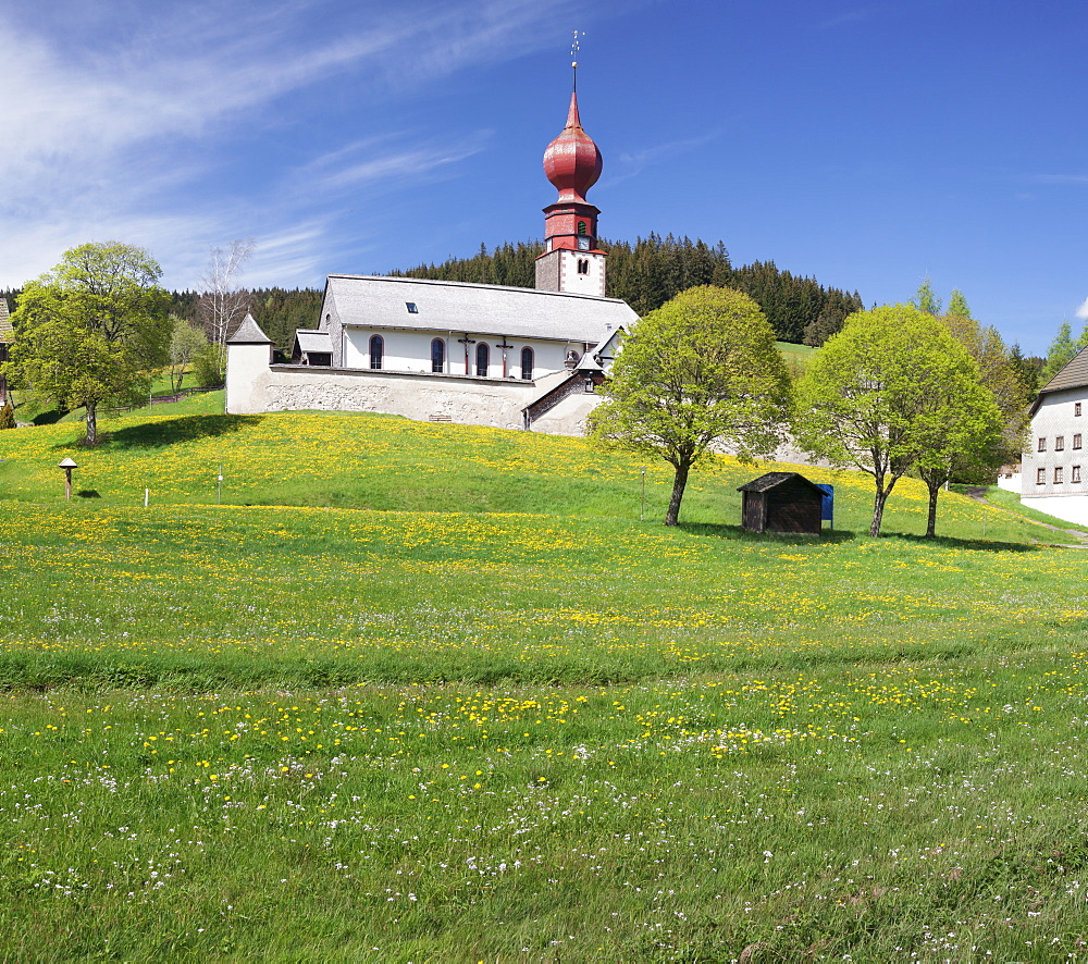 Wehrkirche church, Urach, Urachtal Valley in spring, Black Forest, Baden Wurttemberg, Germany, Europe