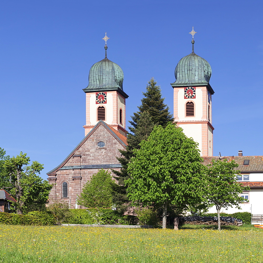 Abbey Chuch, spring, St. Maergen, Glottertal Valley, Black Forest, Baden Wurttemberg, Germany, Europe