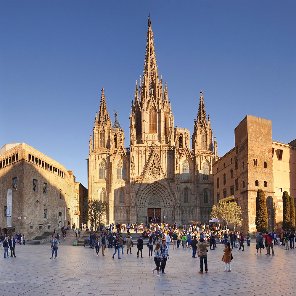 La Catedral de la Santa Creu i Santa Eulalia (Barcelona Cathedral), Barri Gotic, Barcelona, Catalonia, Spain, Europe